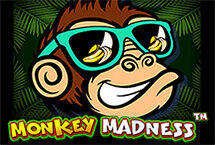 Demo Slot Monkey Madness